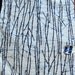 Vintage Fabric Japanese Kimono Cotton Bamboo Print Roll NOS
