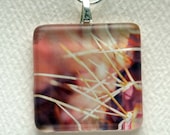 Original Art Glass Tile Photo Pendant -- "Prickly Pear Abstract"