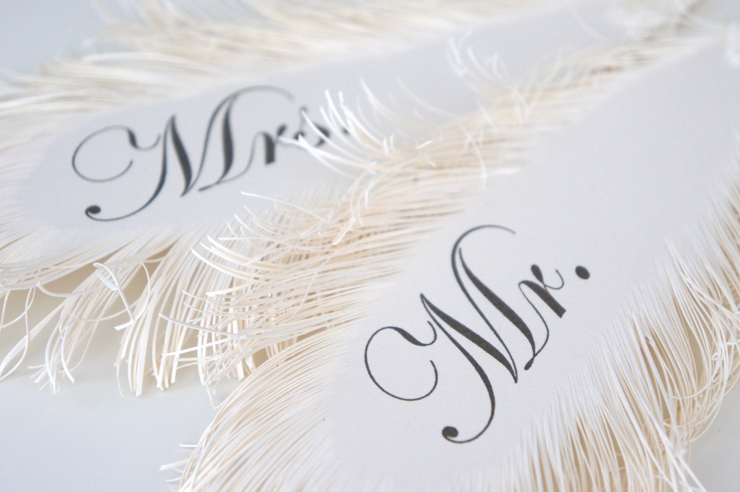 Mr & Mrs Wedding Signs FEATHER's in ivory
