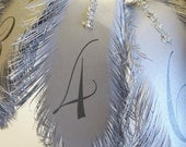 wedding table numbers FEATHERs for flower arrangement in Silver