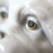 Lladro Dog Figurine Retired Mostachos Lhaso Apso Item 01004692 Alias 4692G 1969-1981 FREE SHIPPING