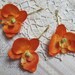 ORANGE Orchids SET OF 3 bobby pins flowers-hair clips - Weddings