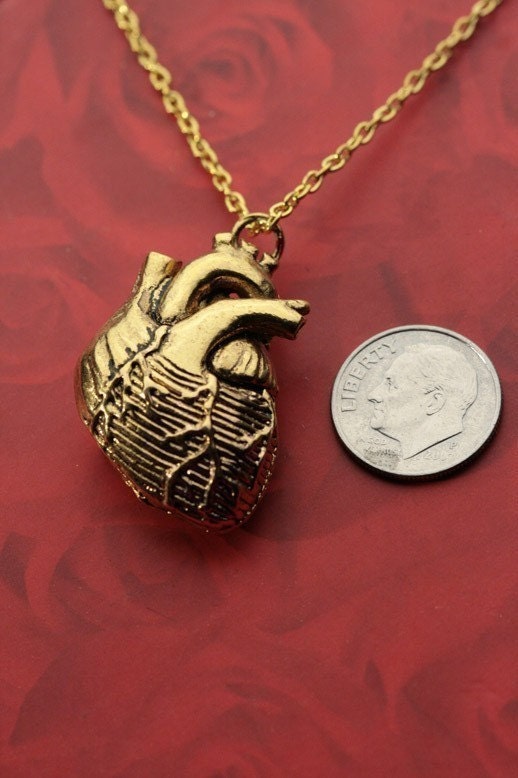 Anatomical Heart in 24k Gold Plate, on an 24" Gold Plated Chain (Original Design, Made in NYC)