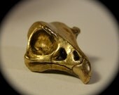 Falcon skull pendant in bronze on 18 inch gun metal black chain