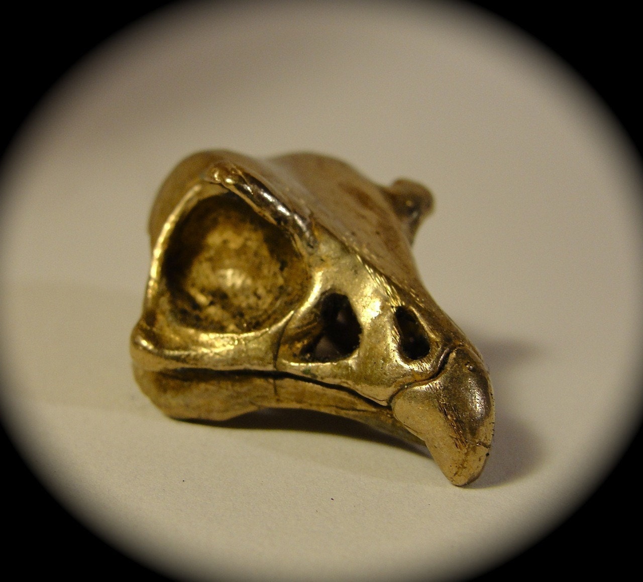 Falcon skull pendant in bronze on 18 inch gun metal black chain