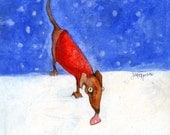 First Snow