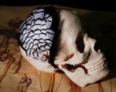 Zebra Punk Headband - black and white pheasant on satin headband with vintage brooch