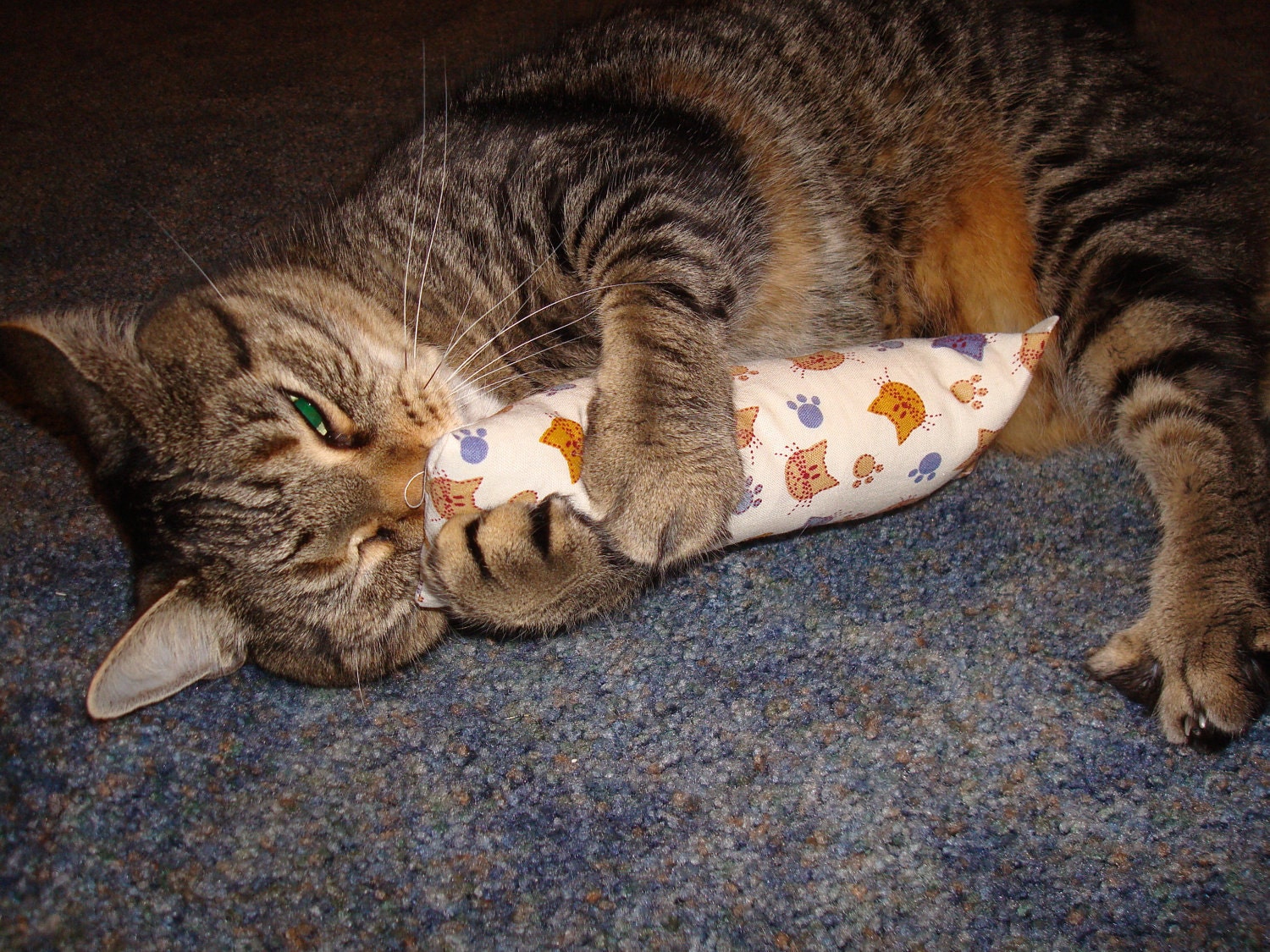 catnip pillows for cats