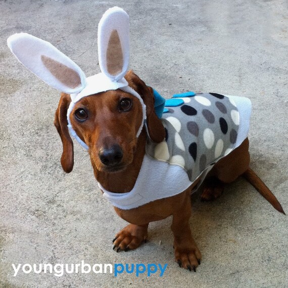 Easter Bunny Spring Costume for Dogs by YoungUrbanPuppy on Etsy