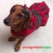 CLEARANCE SALE The HUNTRESS Plaid Christmas Dress for Dogs