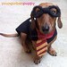 3 Piece Wizard Dog Costume