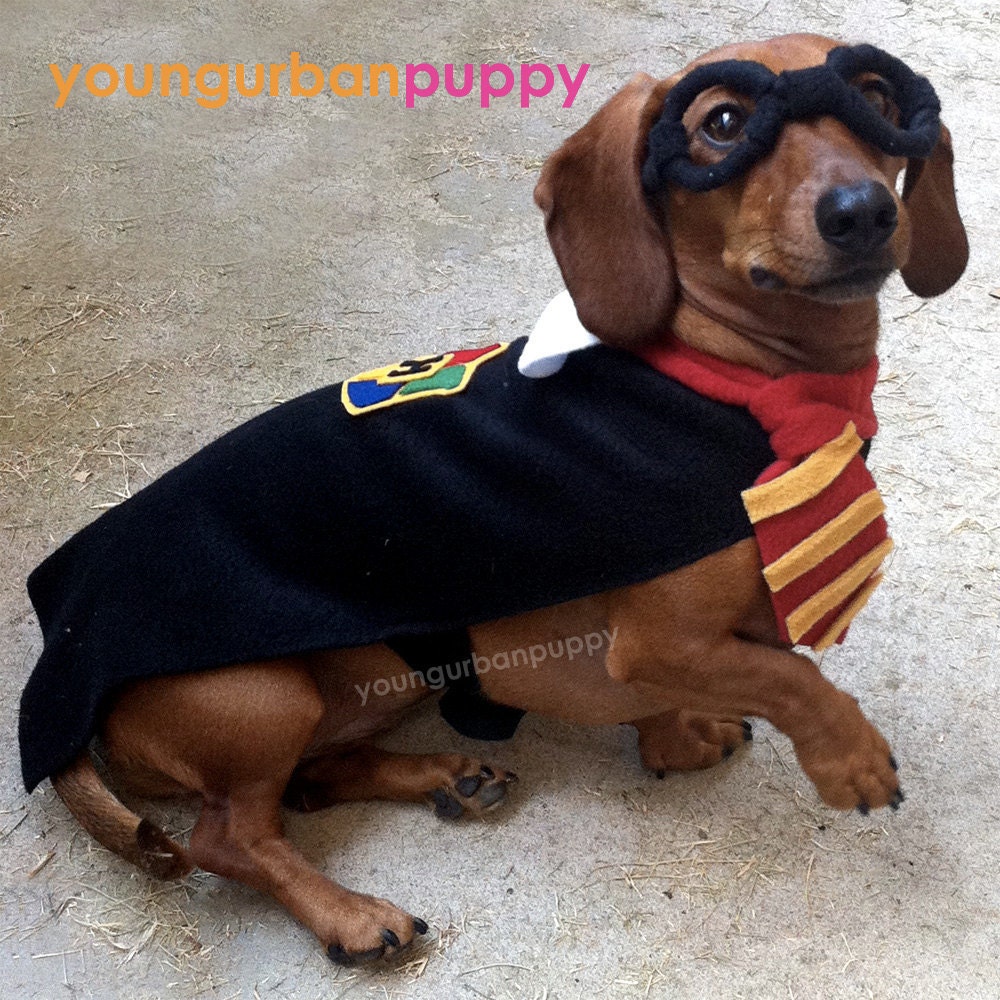 3 Piece Wizard Dog Costume