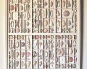 Sea shell composition in white