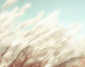 16x20 large photograph - mint blue prairie grass - ombre wall decor - pastel powder blue white - beach wedding - cottage chic - summer