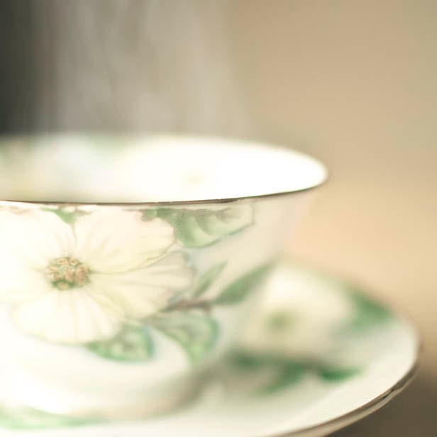 Shabby chic kitchen photography- country farmhouse - mint green decor - floral garden - dogwood teacup 5x5 still life