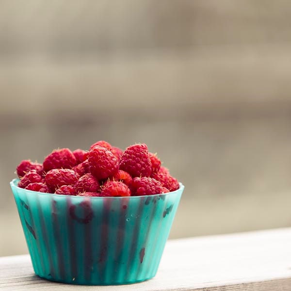 CIJ, christmasinjuly, Kitchen art - Raspberries - Summer food photography - ruby red berry in blue bowl - Picnic - Raceytay