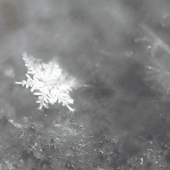 5 OFF SALE In winter with warm tears I'll melt th