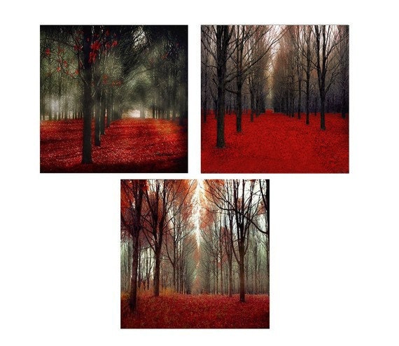 Red Forest gift set 3 12x12 photos for Ikea Ribba - black and red Canada forest set for men and women