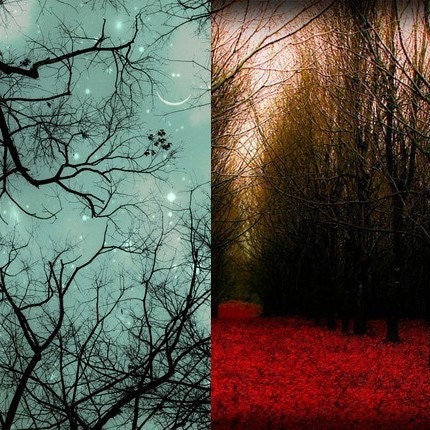 Any three 8x8 (fine art photographs) FREE SHIPPING