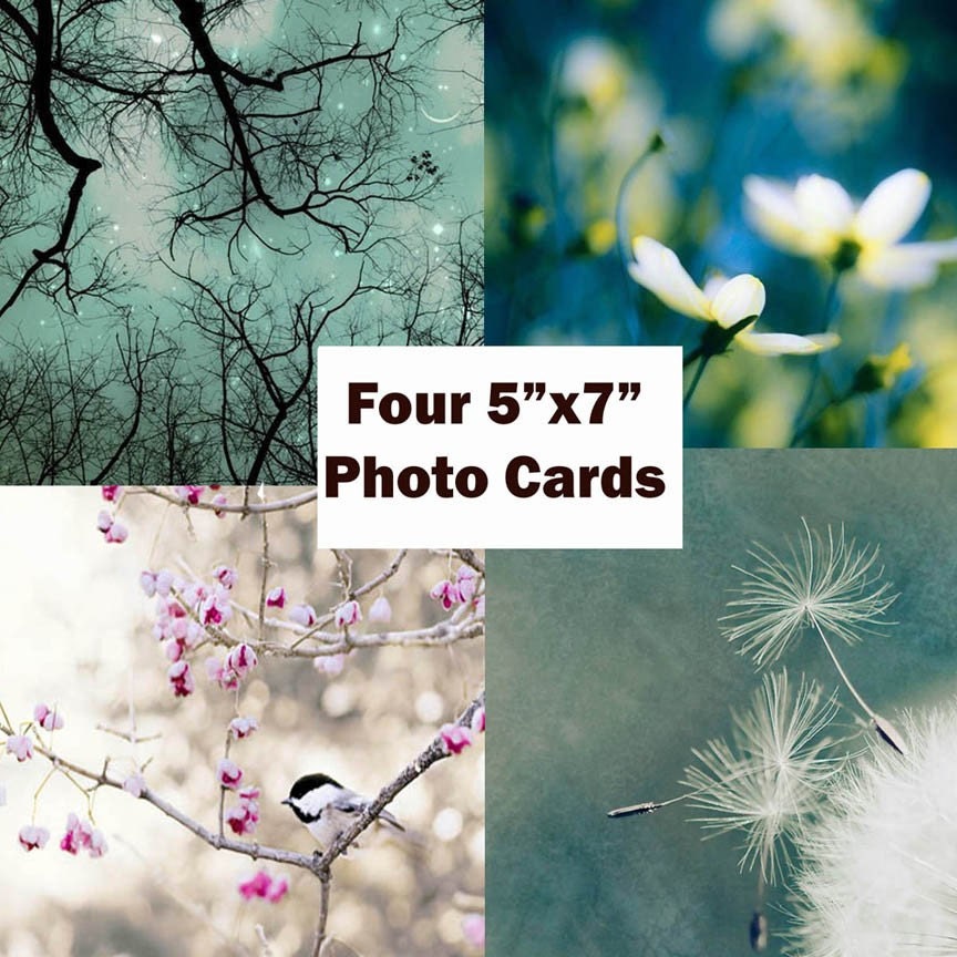 Spring Cards in Pink and Blue - Set et of FOUR cards amethyst teal cyan blue decor chickadee blossom tree spring dusty rose honeysuckle pink cardstock blank stationary mothers day. easter. 5x7