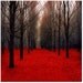 Fiery Autumn, Nature Photography, Red Forest in Fall, rustic cabin decor, Fathers Day, 5x5 by raceytay