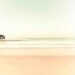 Beach photograph, tropical, summer, ombre, peach, mint, beige, ocean, women, nautical, pier 5x7 travel - spa decor