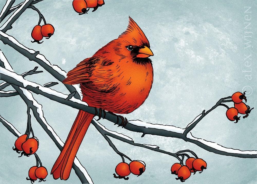 11x14 illustration print: Tis the Season (red cardinal on snowy branches with berries)