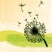 dandelion art print (11x14 matted, flower with seeds flying on green & yellow background)