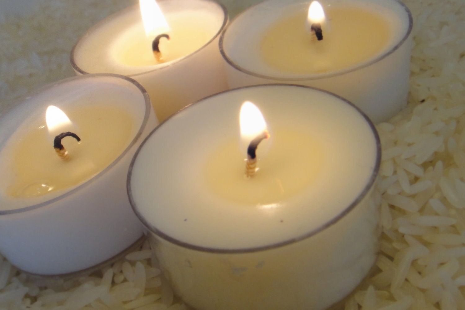 Bay Breeze Soy Tea Light Pak Eco Friendly Summer Scent