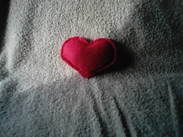 Pink Heart Catnip Toy