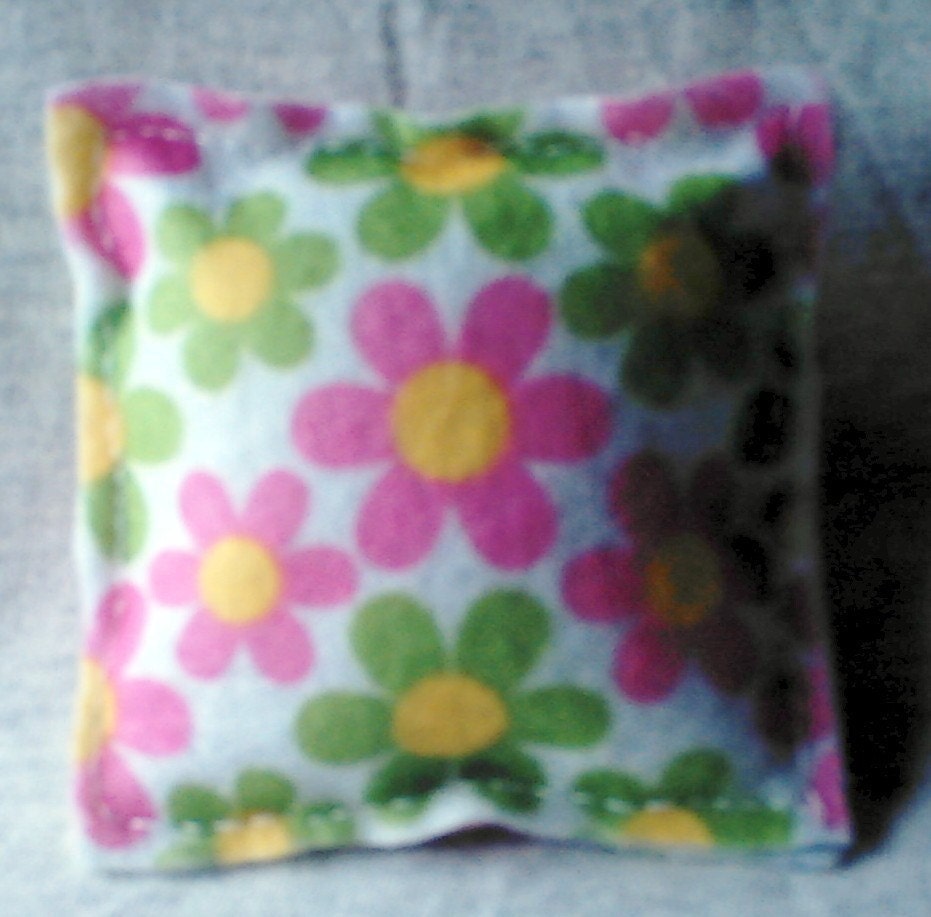 Daisy Catnip Pillow Toy
