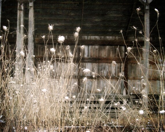 Old Barn Photograph Abandoned Cold Winter Empty Run Down Old
