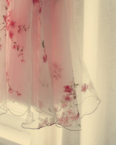 Pink Girl's Ballet Dress Photograph - feminine, delicate, flowers, light - A Ballerina's Garden