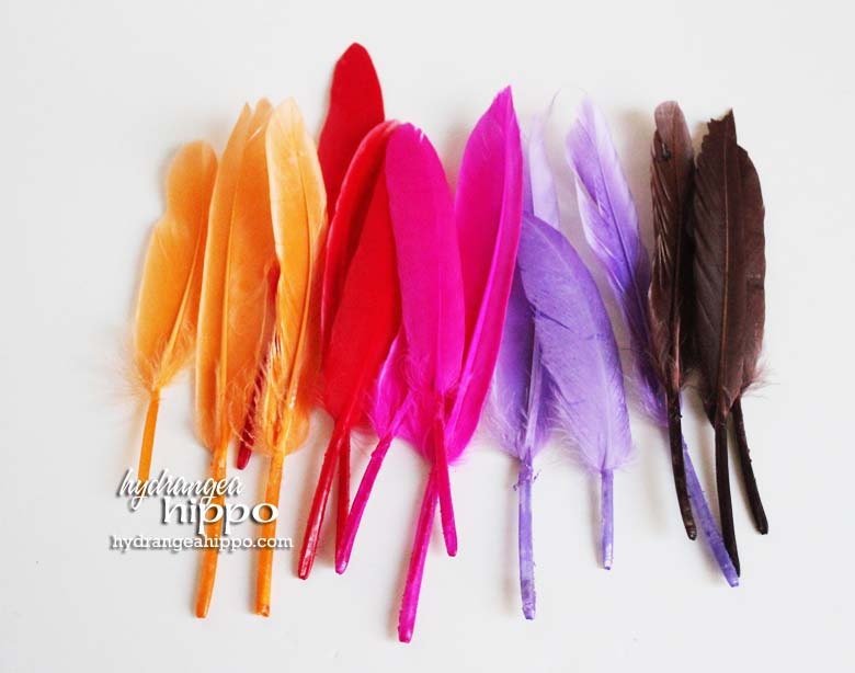 Summer Feather Assortment - 15 pieces