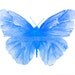 green butterfly watercolor archival print 8" x 10"