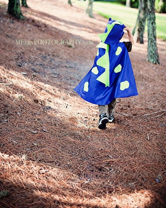 Kids Dinosaur Costume for Birthday Gift- includes scales & 3D spikes Dino party