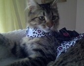 Leopard Print with  Ruffled  Harness Vest  Custom  Made for dog or cat