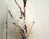 CARDIGAN Boutonniere