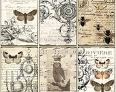 INSTANT DOWNLOAD diGital CoLLaGe Sheet ViNtaGe EpHeMera PaPer OwL BuTTerflieS PriNtaBle VintAge LaBelS FreNch SCriPts StaiNed, No. 16