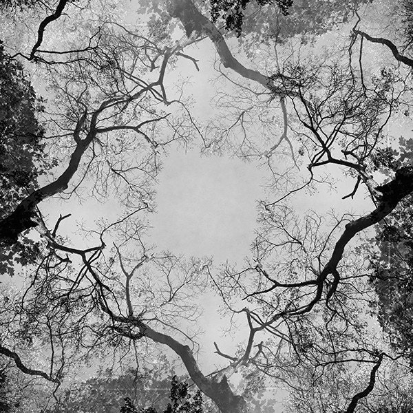 8x8 Photo Modern Art Print "Box" Dreamcatchers Series Dreamy Woodland Home Decor Masculine Decor