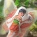 Pocket Fairy Doll - Willow