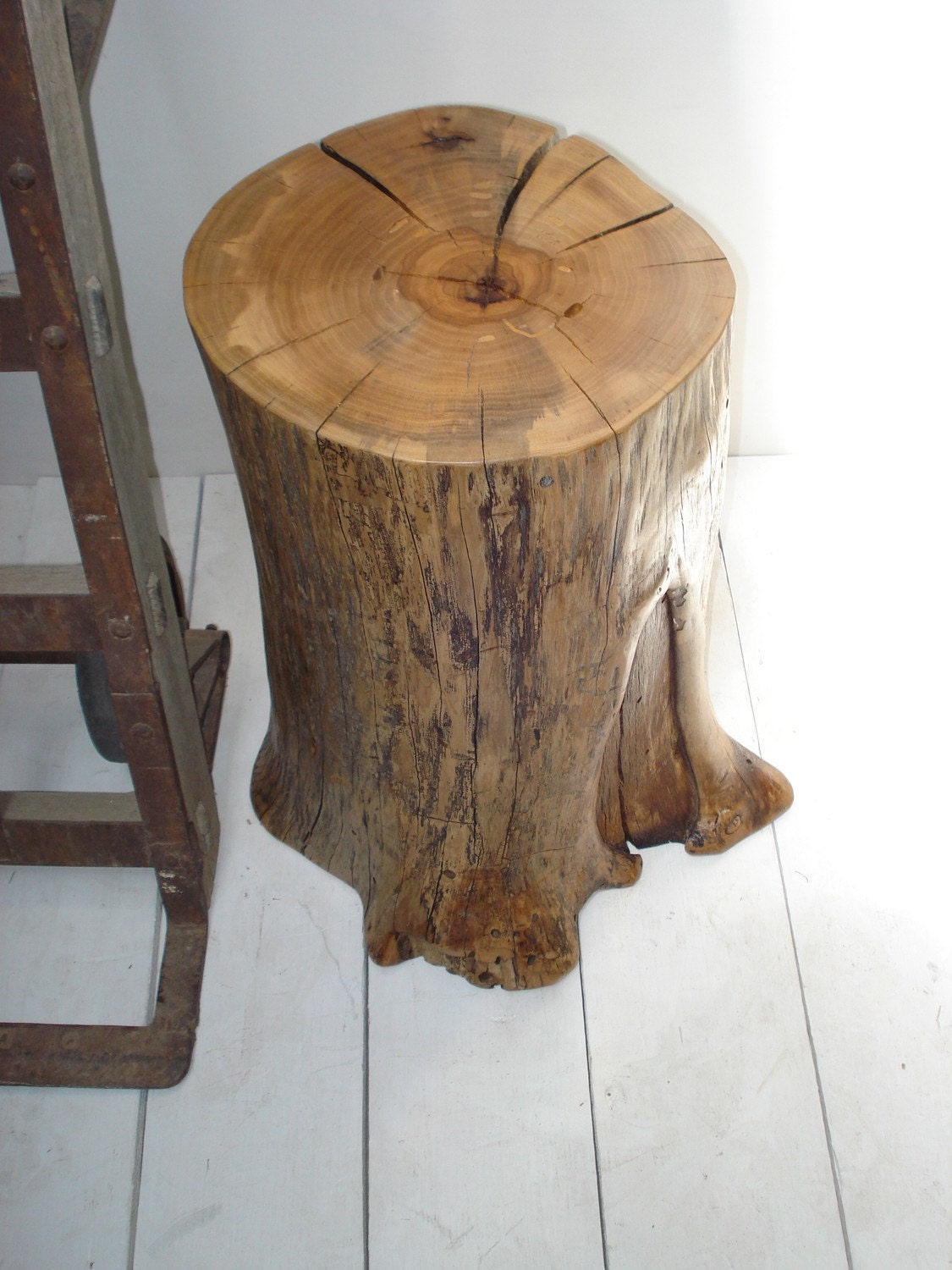 Pecan Stump 308
