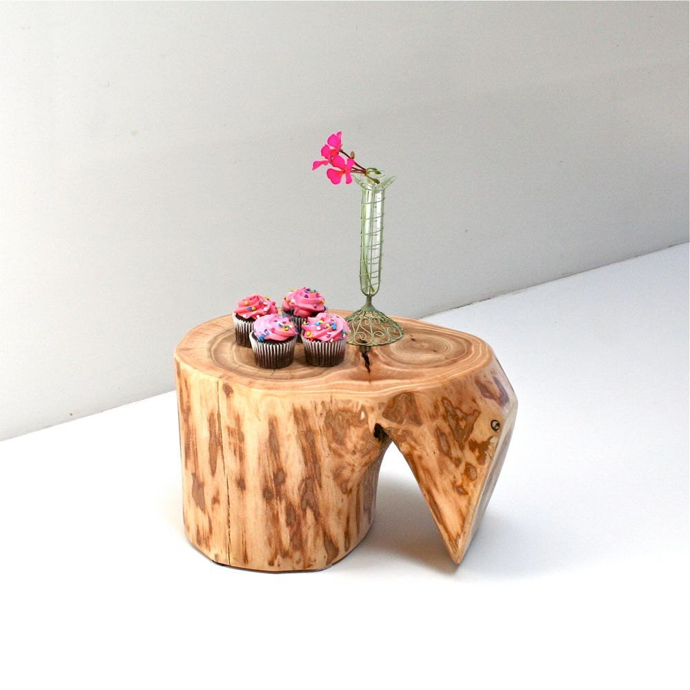 Dainty Elm Perch