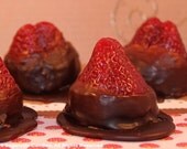 CHOCOLATE KISSED STRAWBERRIES- 5 Gourmet Jumbo Hand Dipped Wax Tart Melts