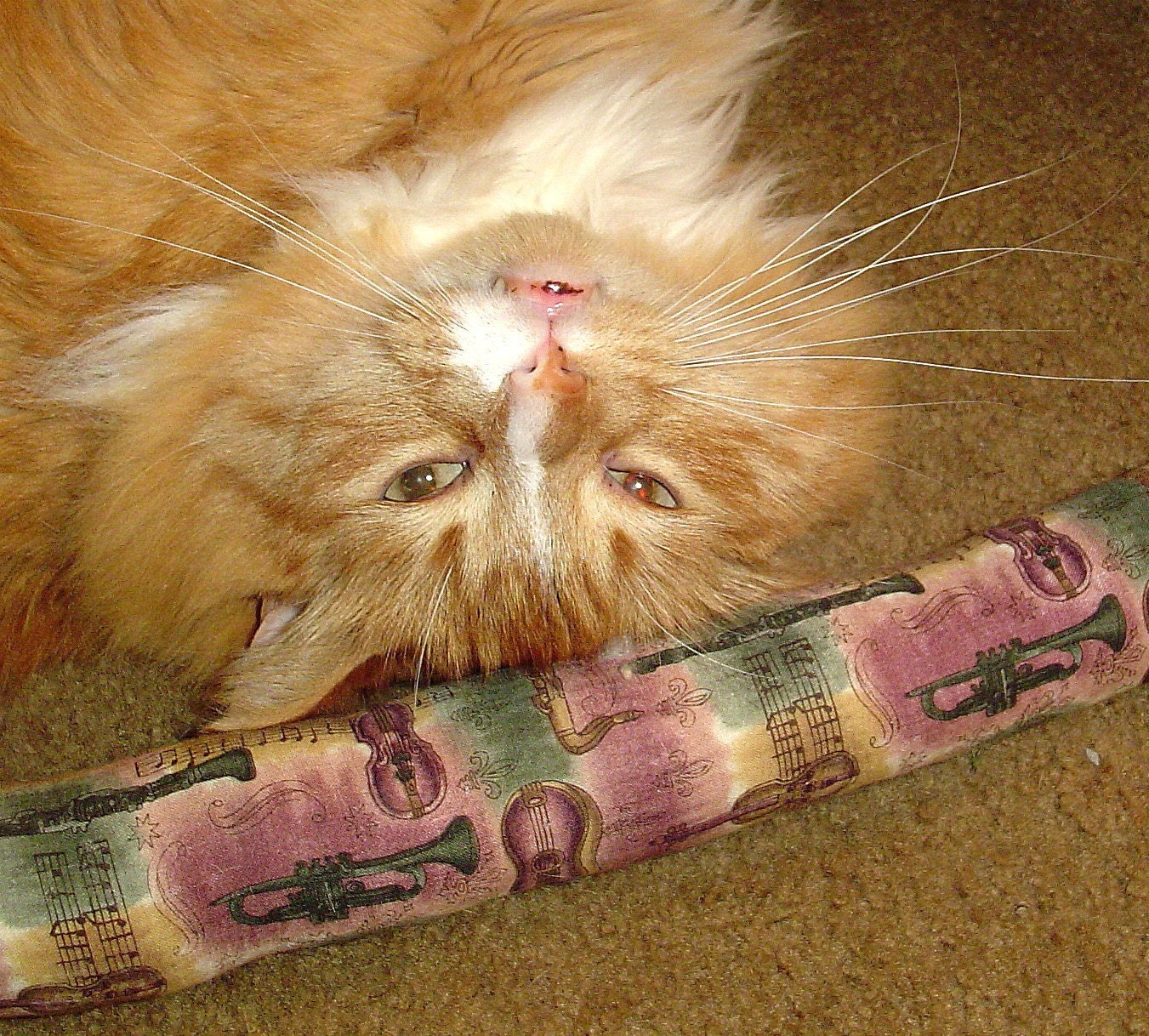 Cat Toy/Two Snakey Mice