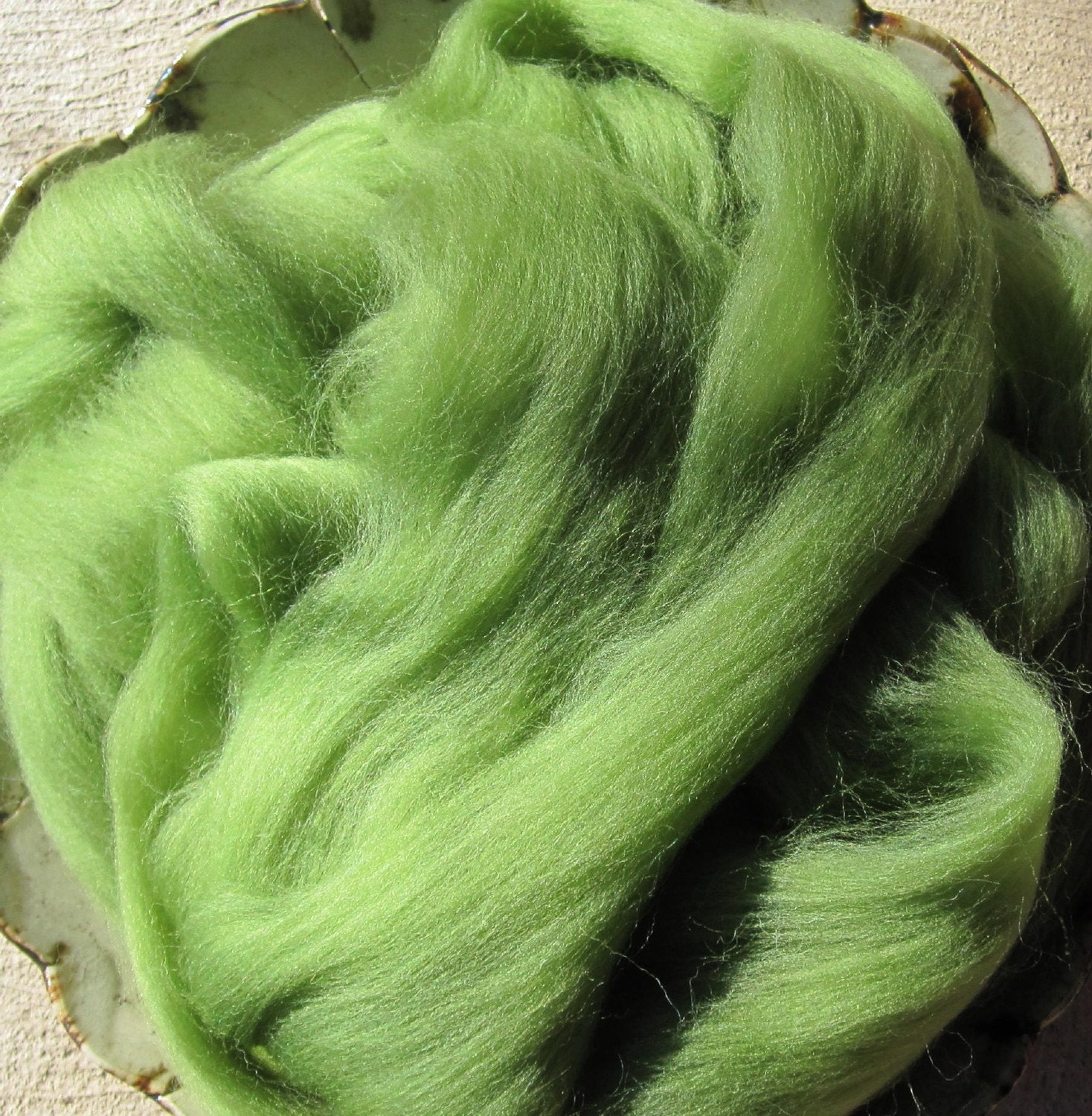 Apple Ashland Bay Colonial for Spinners and Felters