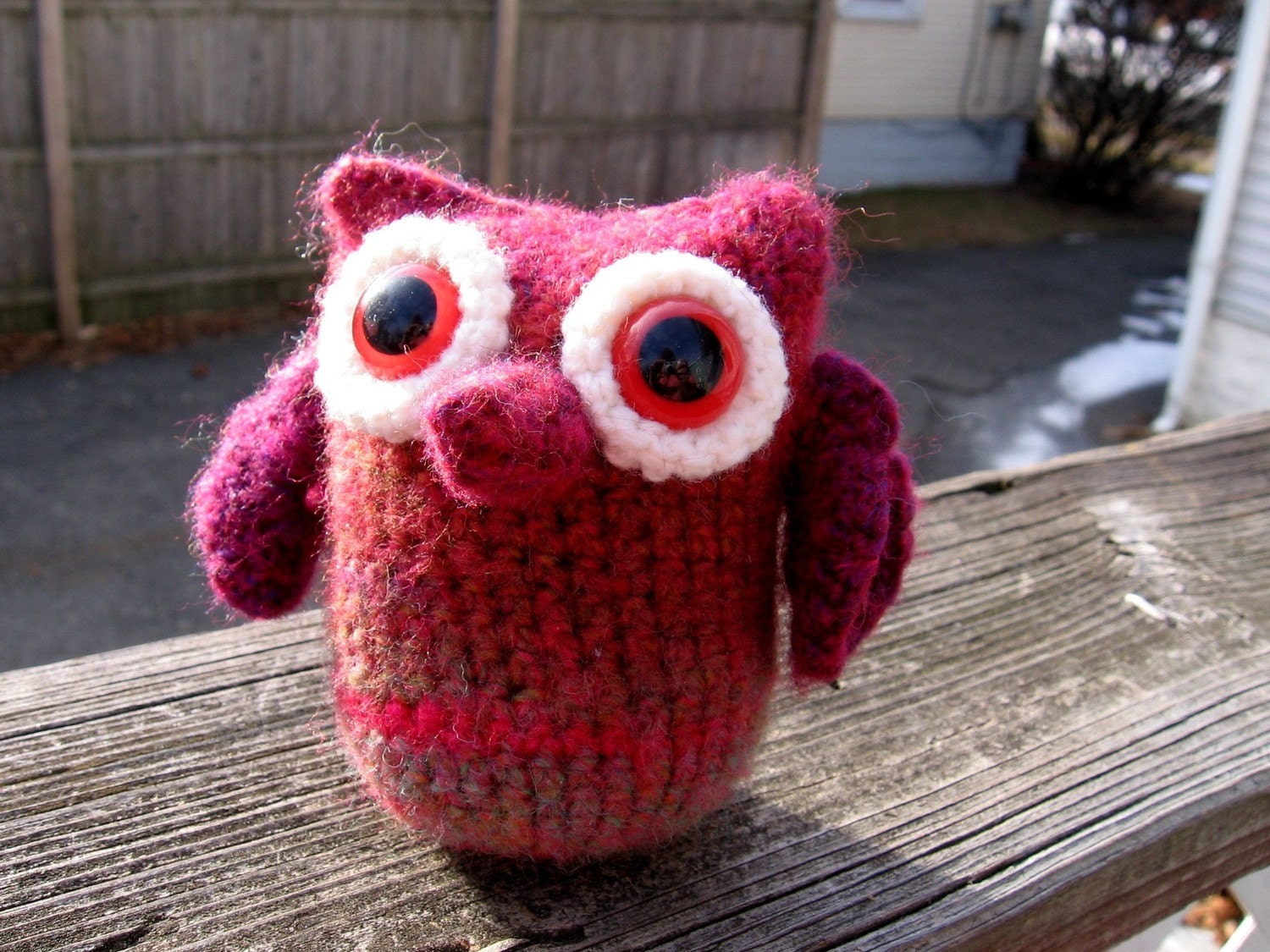 Adorable owl needs a home A Heidi Drake Original