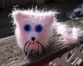 Mr. Pinky Kitty Kat needs a home
