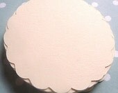 Cream Scallops - 50
