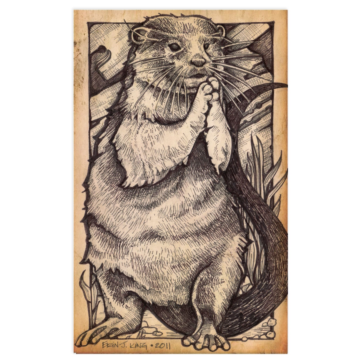 River Otter - Antique Style Print - 5 x 8